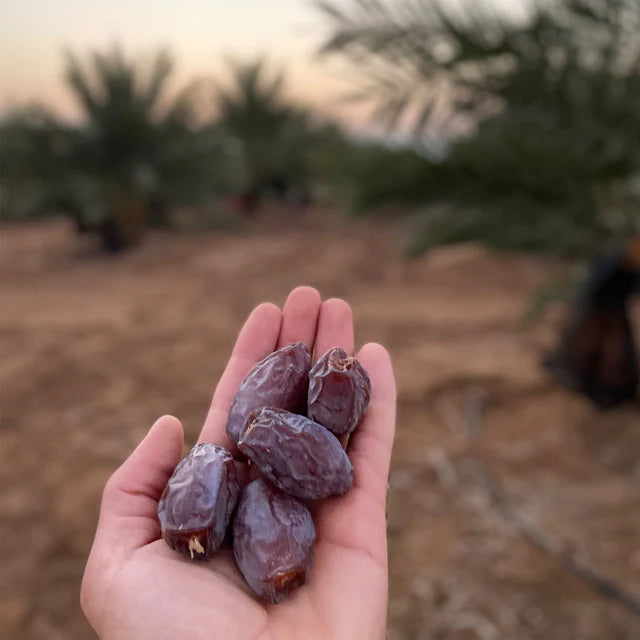Jumbo Medjoul Dadels uit Palestina - 1,8KG